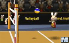 Bunnylimpics Volleyball