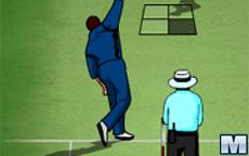 Ultimate Cricket