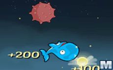 Whale Hop!