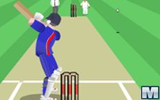 World Cricket Slog Master