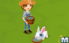 Rabbit Farmer