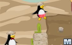 Penguin Couple Adventure