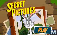 Wabbit Secret Picture