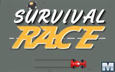 Survival Race