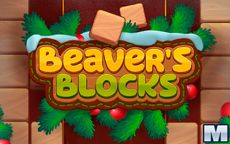 Beaver's Blocks