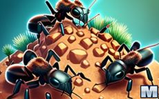 Ant Colony